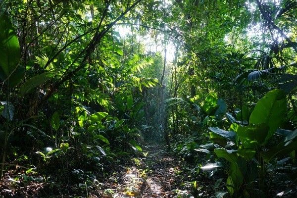Circuit Costa Rica du nord au sud pas cher photo 6