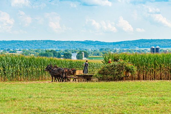 Circuit Panorama des Capitales de l'Est Américain 2*-3* pas cher photo 10