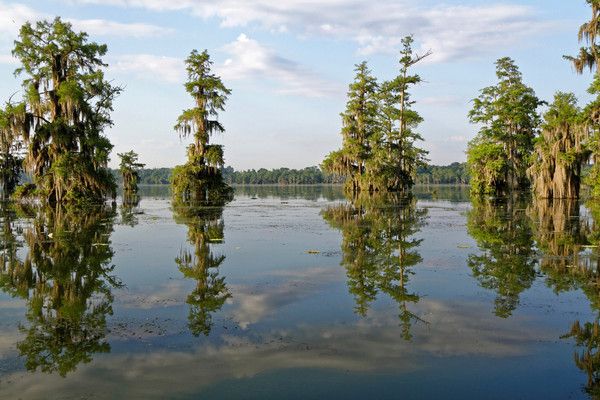 Circuit Coeur de Louisiane, entre Bayous et Plantations 2*-3* pas cher photo 9