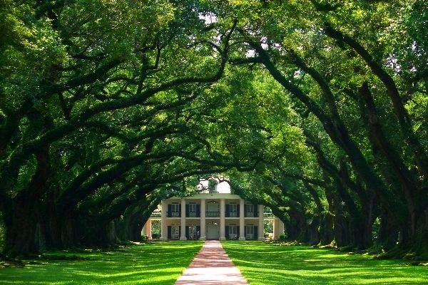 Circuit Coeur de Louisiane, entre Bayous et Plantations 2*-3* pas cher photo 16