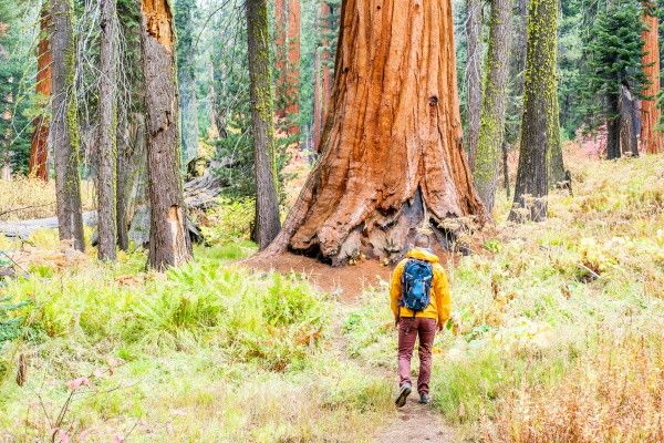 Circuit Panorama du Grand Ouest Américain 2*-3* pas cher photo 4