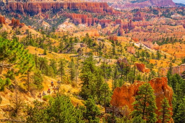 Circuit Panorama du Grand Ouest Américain 2*-3* pas cher photo 8