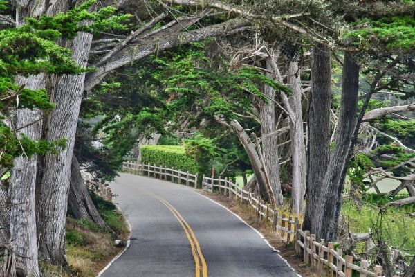 Circuit Panorama du Grand Ouest Américain 2*-3* pas cher photo 21