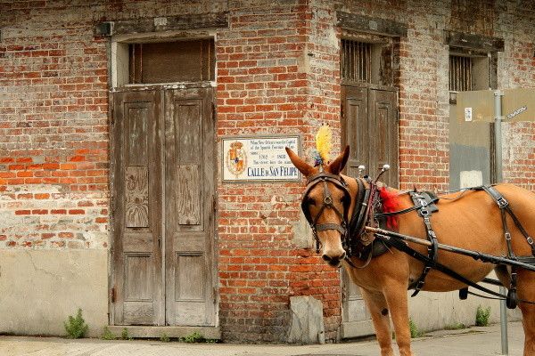 Circuit Panorama des Etats du Sud-Est Américain 2*-3* pas cher photo 5