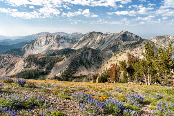Circuit Richesses des Rocheuses à la Côte Pacifique 2*-3* pas cher photo 5