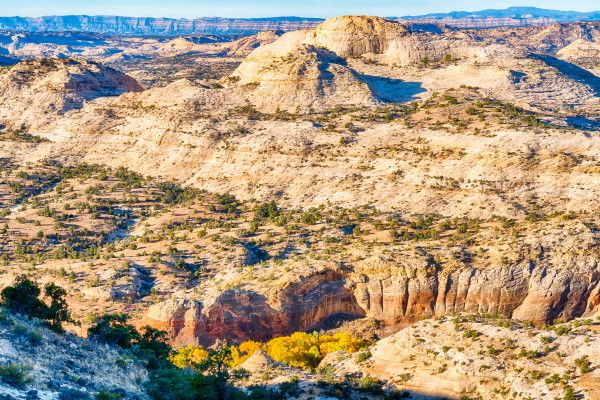 Circuit Richesses des Rocheuses à la Côte Pacifique 2*-3* pas cher photo 11