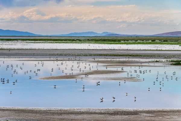 Circuit Richesses des Rocheuses à la Côte Pacifique 2*-3* pas cher photo 17