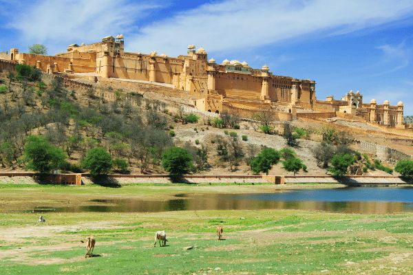 Circuit Sur la route du Taj Mahal au Tigres de Ranthambore pas cher photo 10