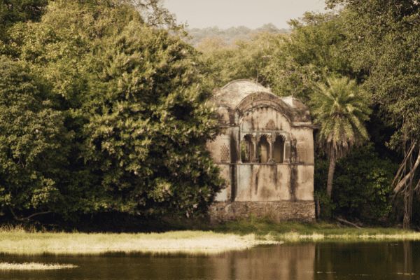 Circuit Sur la route du Taj Mahal au Tigres de Ranthambore pas cher photo 23