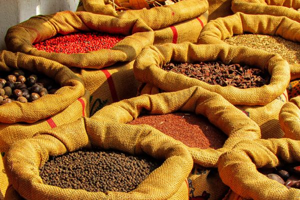 Circuit Comptoir de l'Inde du Sud pas cher photo 2