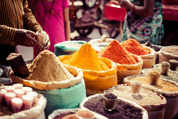 Circuit Forts et Palais du Rajasthan en Privatif 5* pas cher photo 24