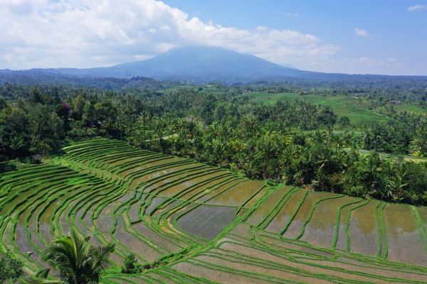 Combiné Jungle, Rizières et Sable de Bali 4* pas cher photo 1