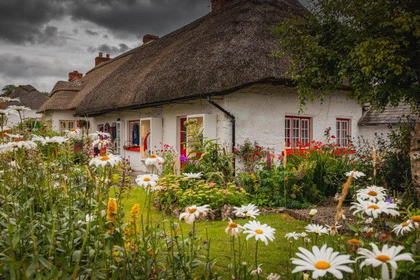 Circuit Verte Irlande et Dublin pas cher photo 16