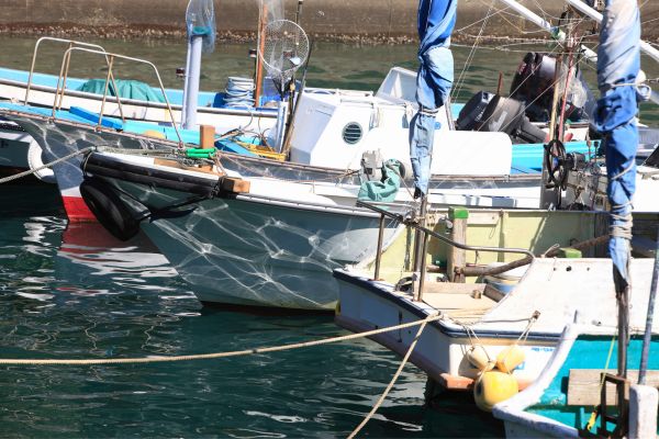 Circuit Au Coeur du Japon & 2 nuits Tokyo pas cher photo 8