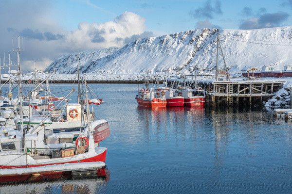 Circuit Magie Arctique pas cher photo 11