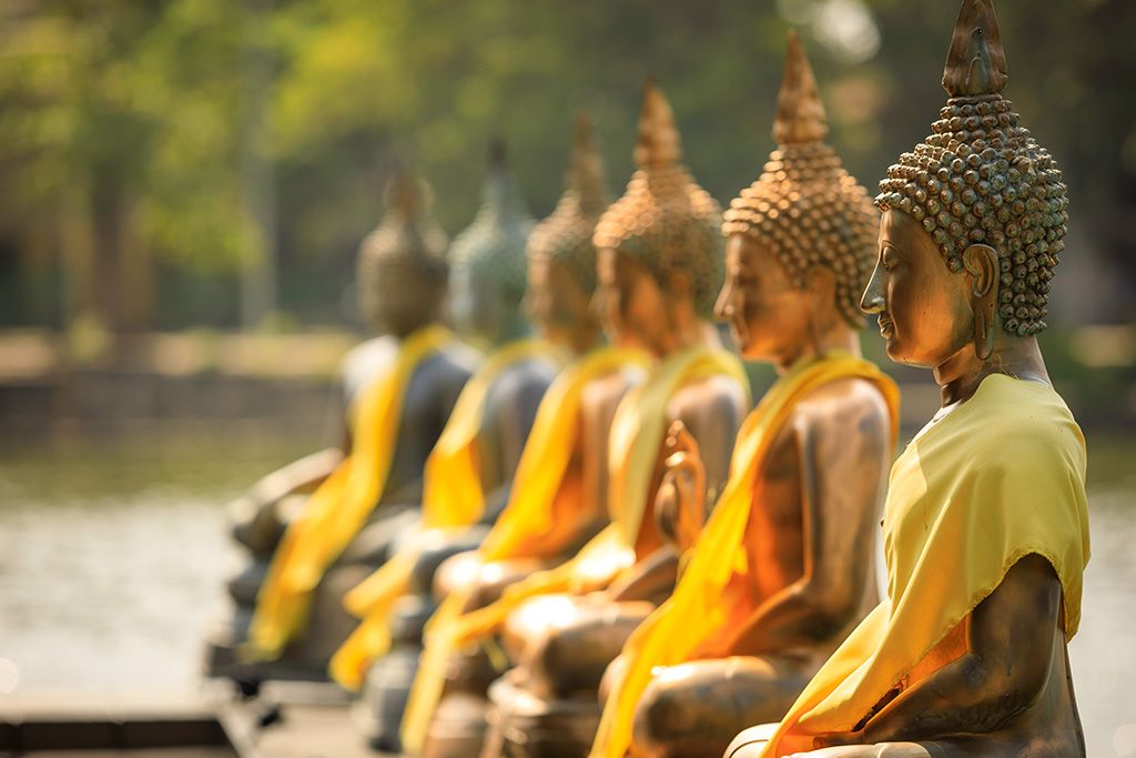 Circuit Privé Essentiel du Sri Lanka 3* pas cher photo 5