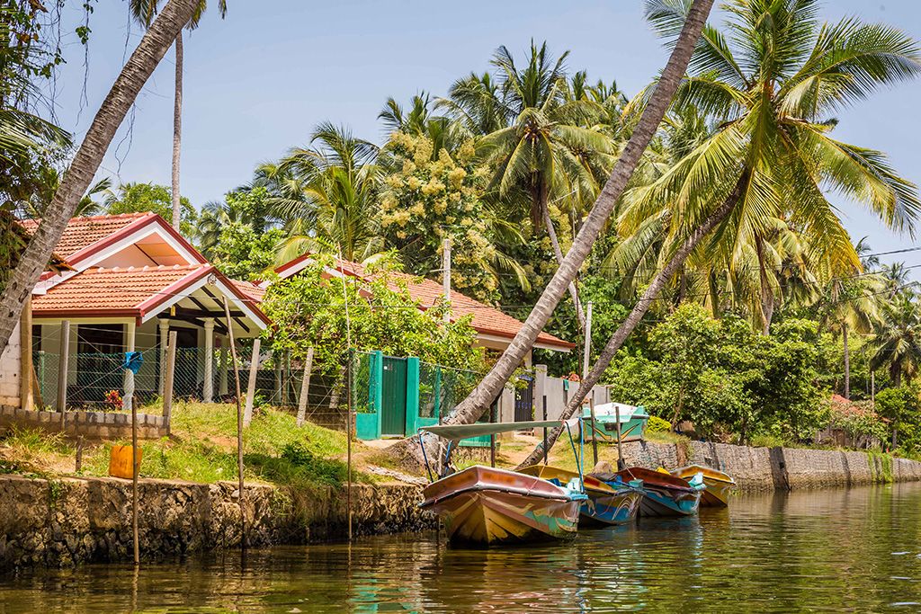 Circuit Privé Essentiel du Sri Lanka 3* pas cher photo 6