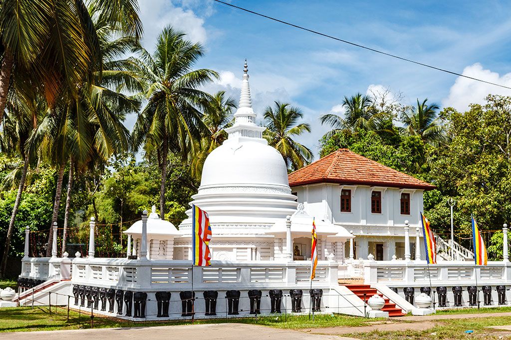 Circuit Privé Essentiel du Sri Lanka 3* pas cher photo 7