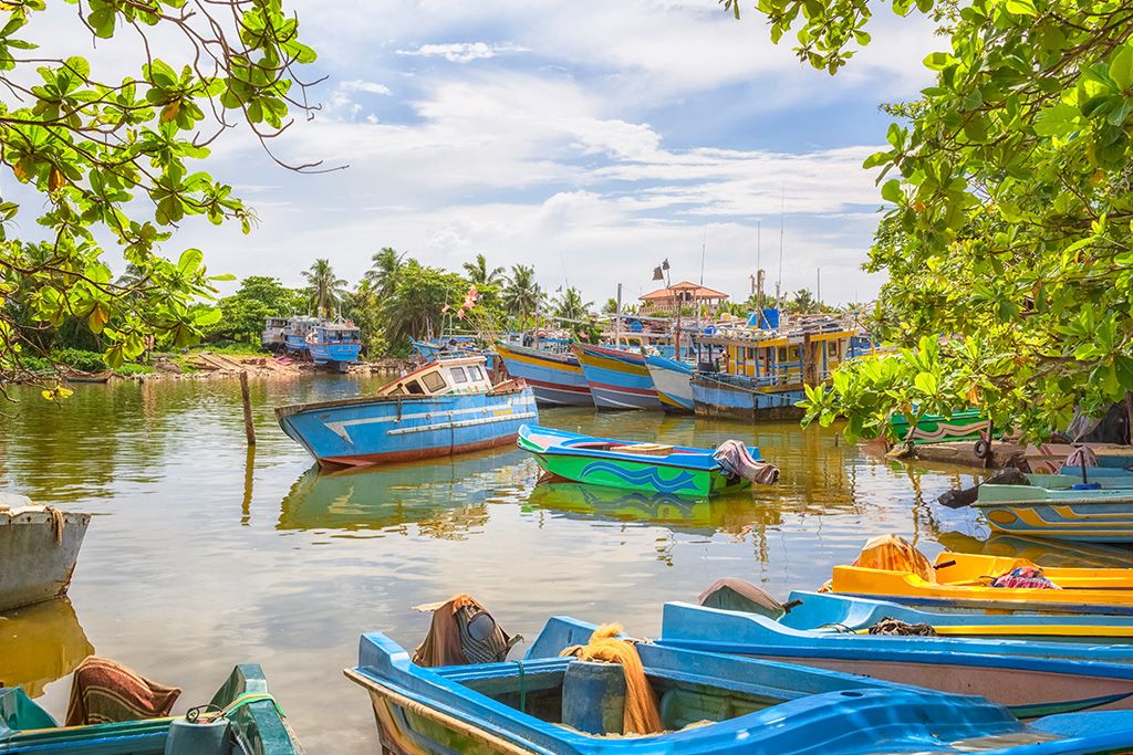 Circuit Privé Essentiel du Sri Lanka 3* pas cher photo 8