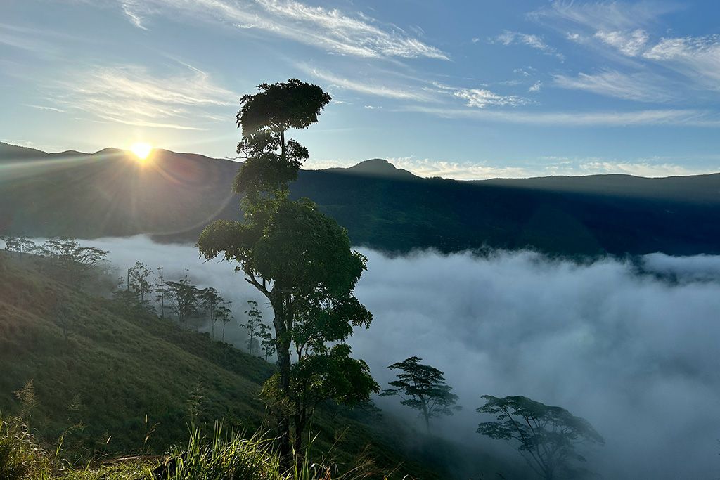 Circuit Privé Essentiel du Sri Lanka 3* pas cher photo 10