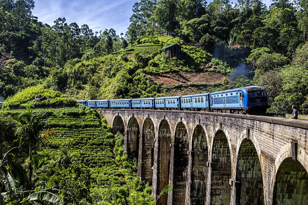 Circuit Privé Essentiel du Sri Lanka 3* pas cher photo 12