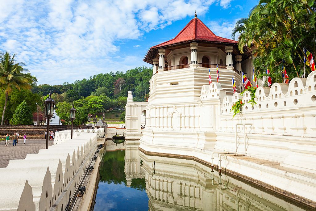 Circuit Privé Essentiel du Sri Lanka 3* pas cher photo 13