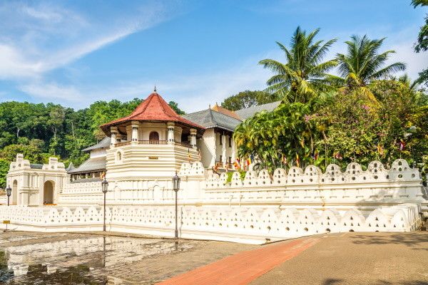 Circuit Intense Sri Lanka (privatif) & plage au Fram Sélection Mermaid 4* pas cher photo 15