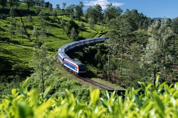 Circuit Splendeurs Insolites de Ceylan 3* pas cher photo 5