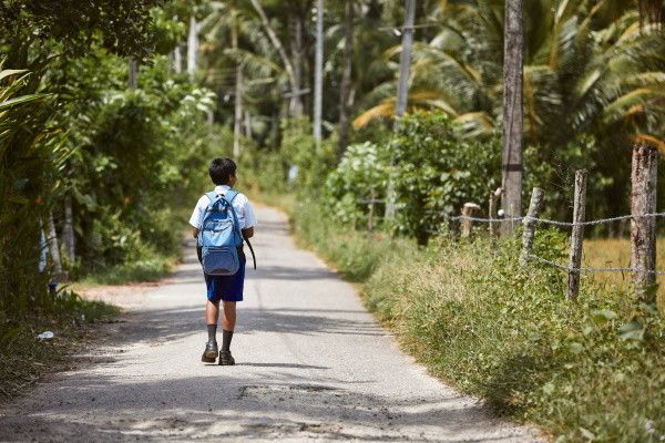 Circuit Splendeurs Insolites de Ceylan 3* pas cher photo 7