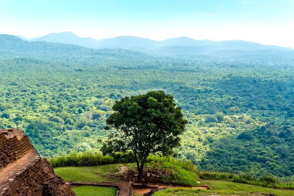 Circuit Splendeurs Insolites de Ceylan 3* pas cher photo 11