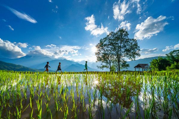 Circuit Toutes les couleurs du Vietnam 3* pas cher photo 12