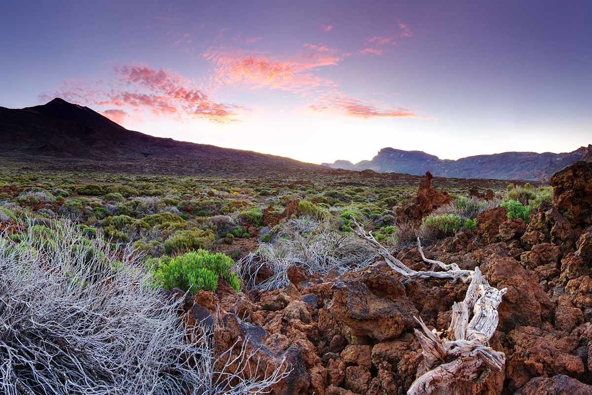 Circuit Echappée sentiers de Ténérife depuis l'hôtel Riu Buenavista 4* - Arrivée aéroport Tenerife S pas cher photo 9