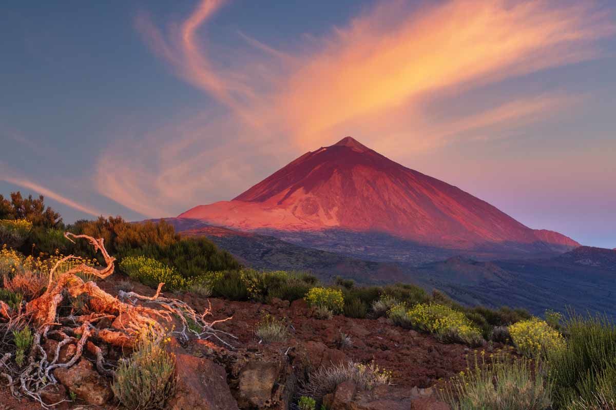 Circuit Echappée sentiers de Ténérife depuis l'hôtel Riu Buenavista 4* - Arrivée aéroport Tenerife S pas cher photo 4