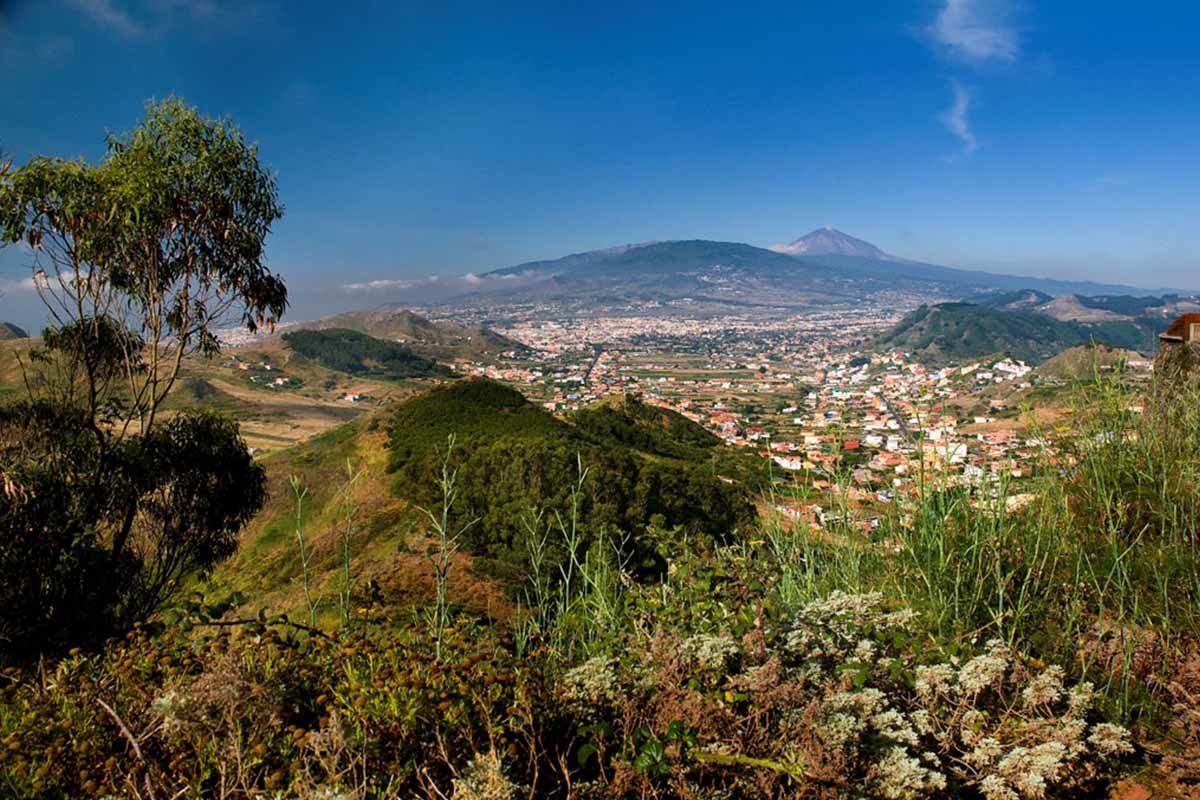 Circuit Echappée sentiers de Ténérife depuis l'hôtel Riu Buenavista 4* - Arrivée aéroport Tenerife S pas cher photo 7