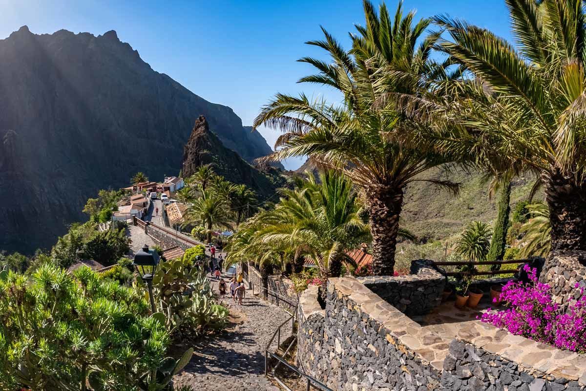 Circuit Echappée canarienne depuis l'hôtel Riu Buenavista 4* - Arrivée aéroport Tenerife Sud pas cher photo 5