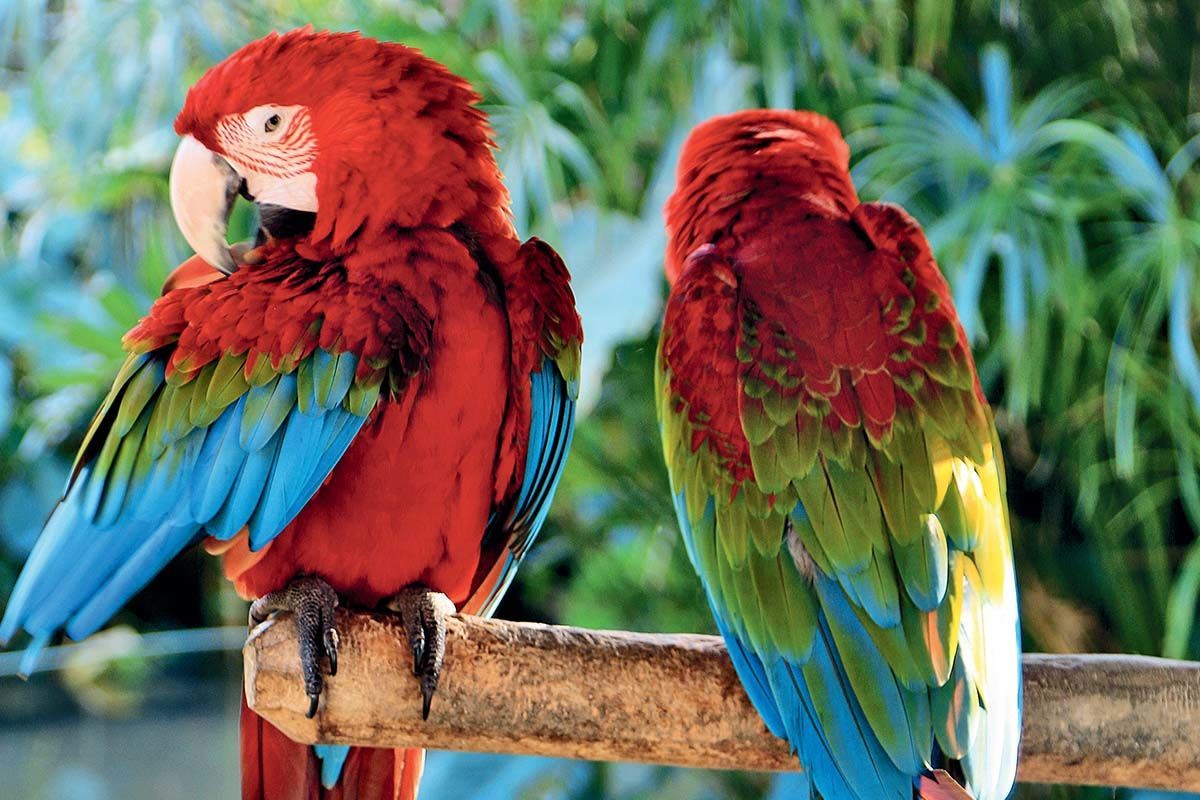 Circuit Échappée Dominicaine depuis l'hôtel Dreams Royal Beach Punta Cana 5* pas cher photo 5