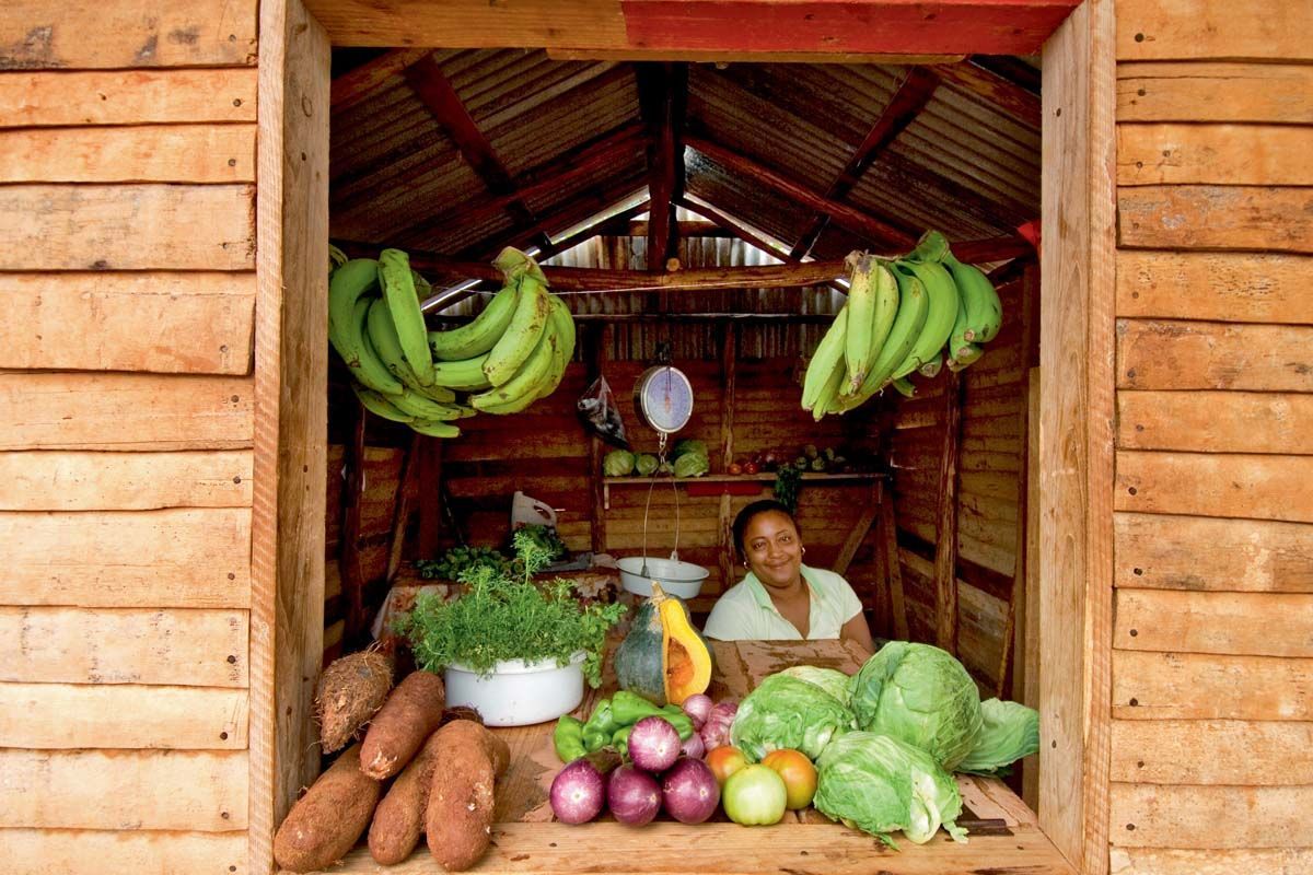 Circuit Échappée Dominicaine depuis l'hôtel Iberostar Hacienda Dominicus 5* - Arrivée Punta Cana pas cher photo 5