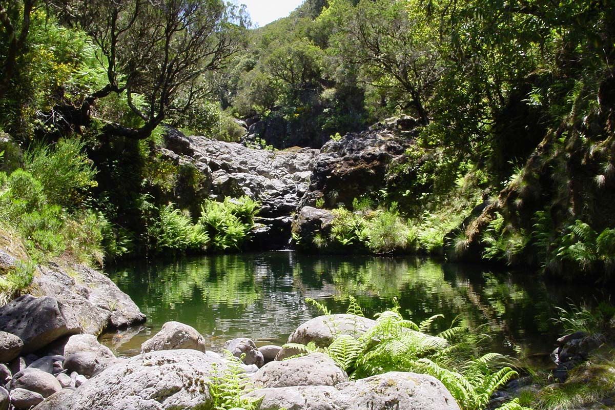 Circuit Echappée Sentiers de Madère depuis le Madeira Panoramico 4* pas cher photo 5