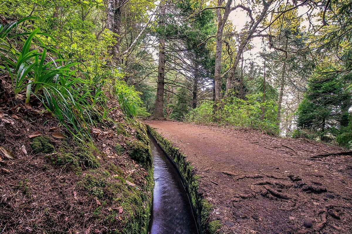 Circuit Echappée Sentiers de Madère depuis le Madeira Panoramico 4* pas cher photo 6