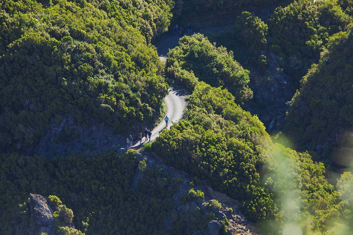 Circuit Echappée Sentiers de Madère depuis le Madeira Panoramico 4* pas cher photo 8