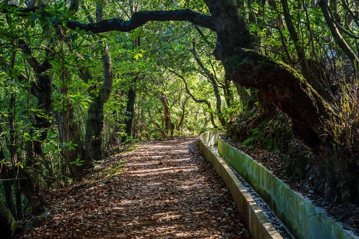 Autotour La route des Fleurs pas cher photo 10