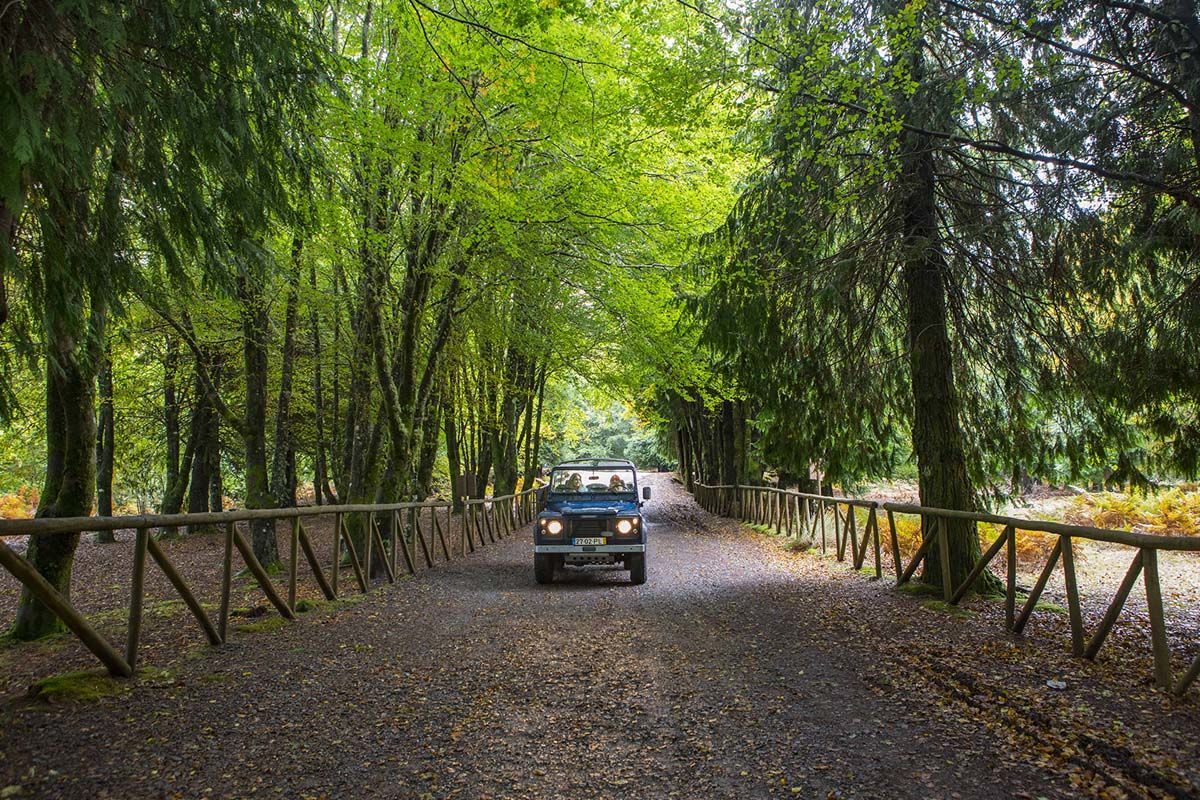 Circuit Échappée Active à Madère depuis l'hôtel Enotel Magnolia 4* pas cher photo 2