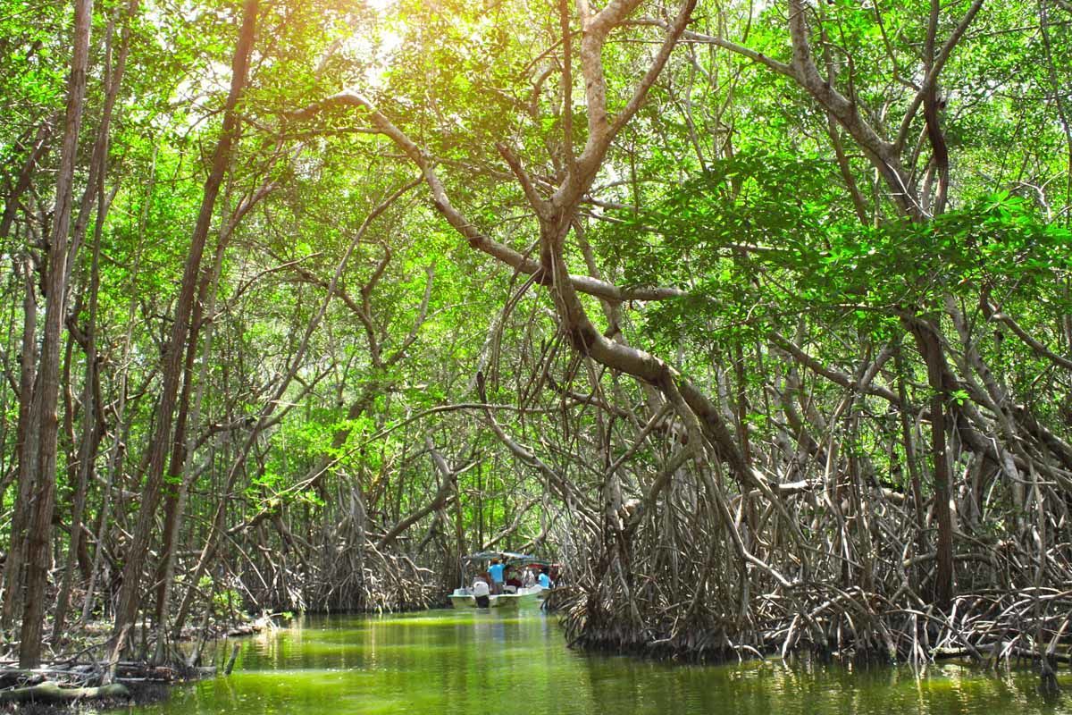 Autotour Merveilles du monde Maya pas cher photo 9