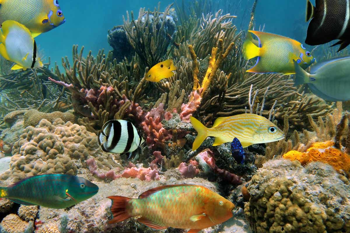 Circuit Echappée Mexicaine Active depuis l'hôtel Bahia Principe Grand Coba 5* pas cher photo 5