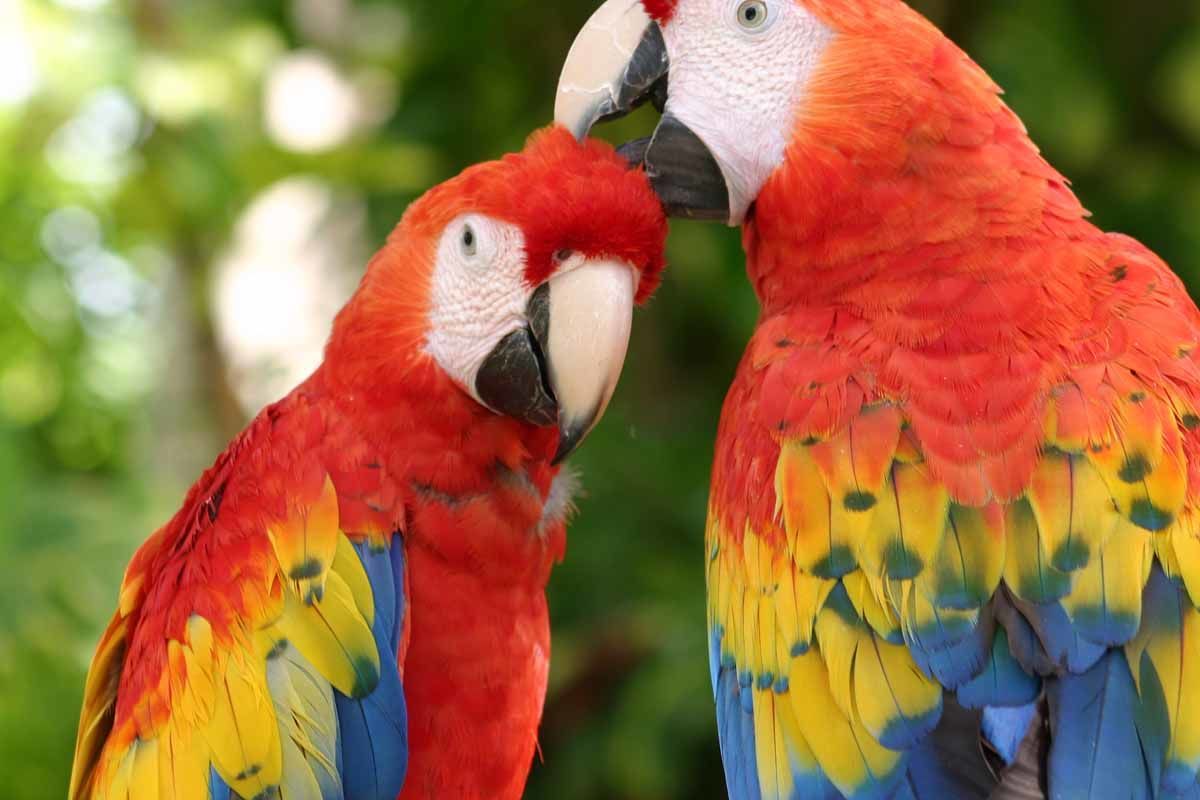 Circuit Balade Yucatèque pas cher photo 10