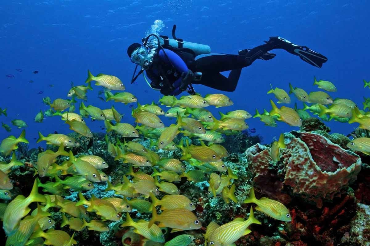 Circuit Balade Yucatèque - Extension Héliades Signature Dreams Jade Resort & Spa 5* pas cher photo 7