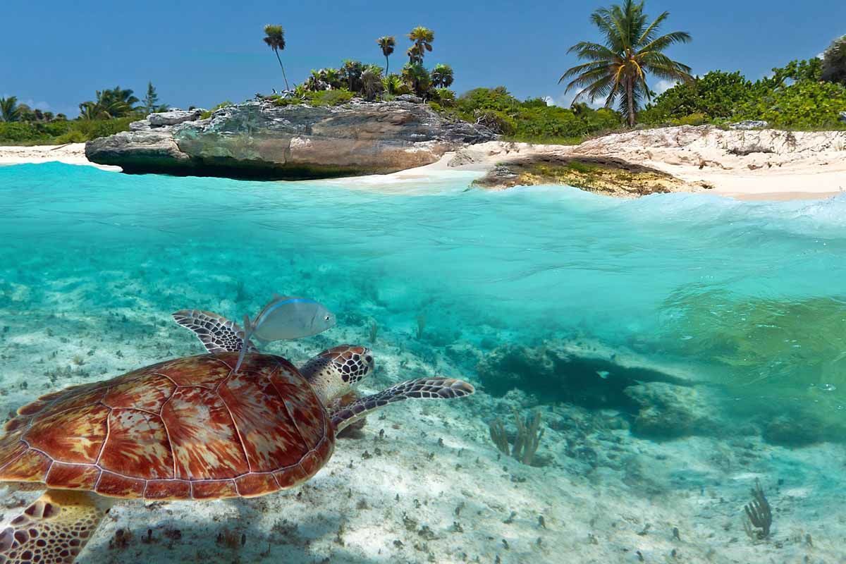 Circuit Visions du Mexique avec extension balnéaire pas cher photo 11