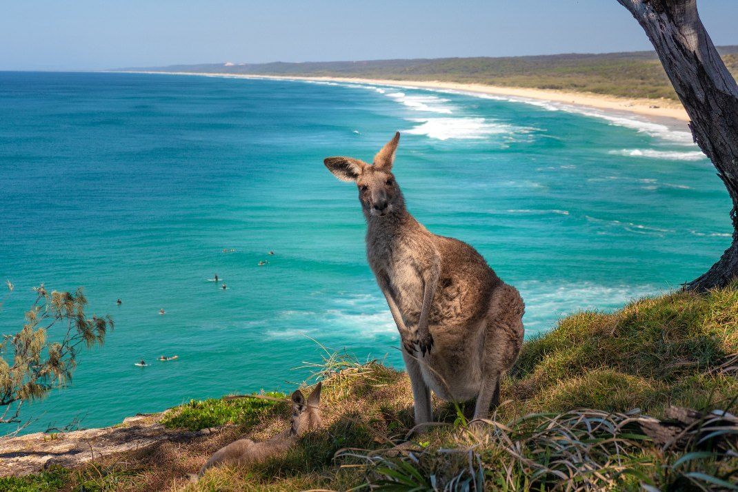 Circuit 13j Regard sur l'Australie pas cher photo 2