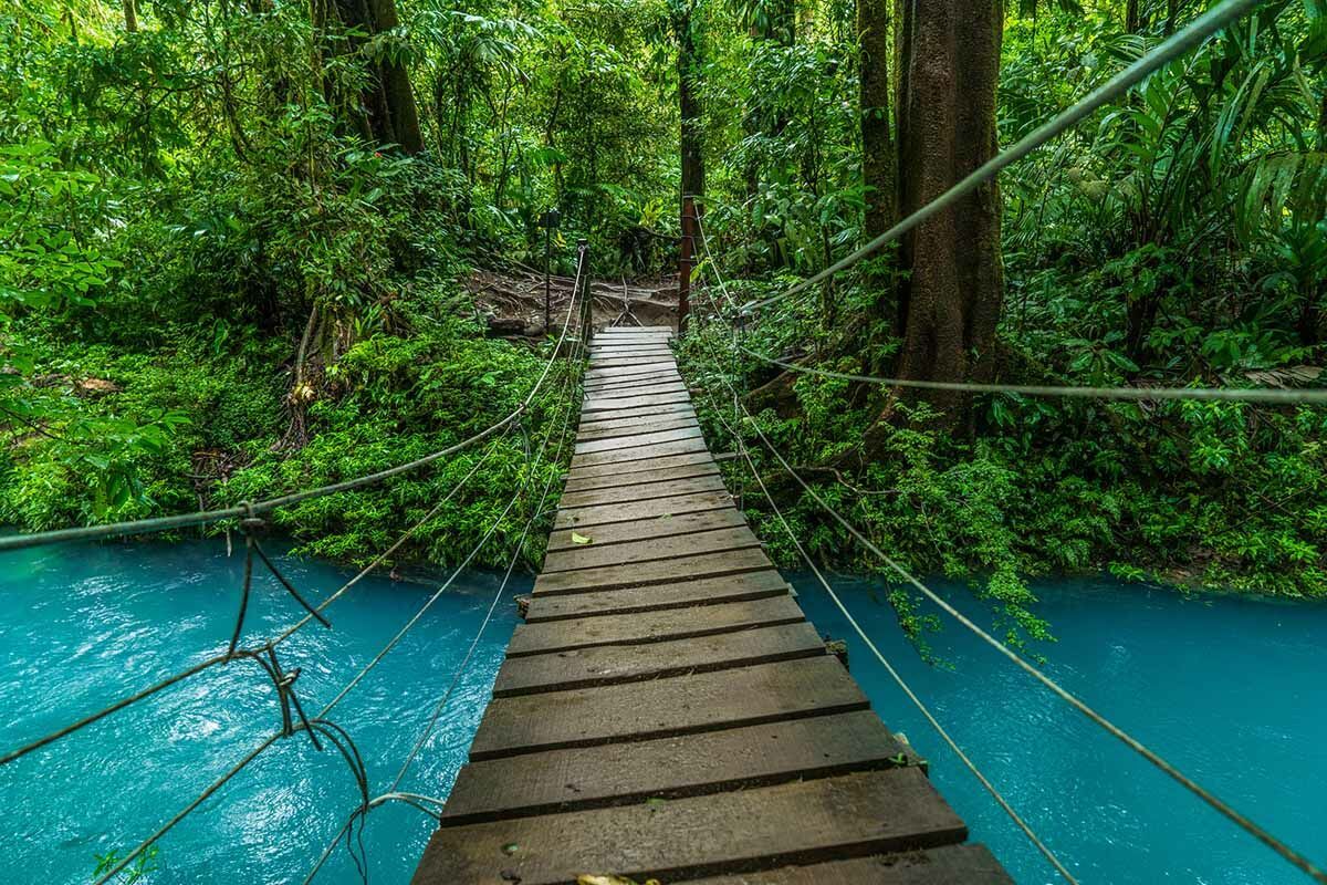 Autotour Richesses naturelles du Costa Rica - Extension Escapade à Tortuguero pas cher photo 1
