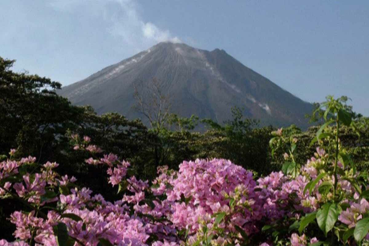 Autotour Le Costa Rica des Caraïbes au Pacifique pas cher photo 1